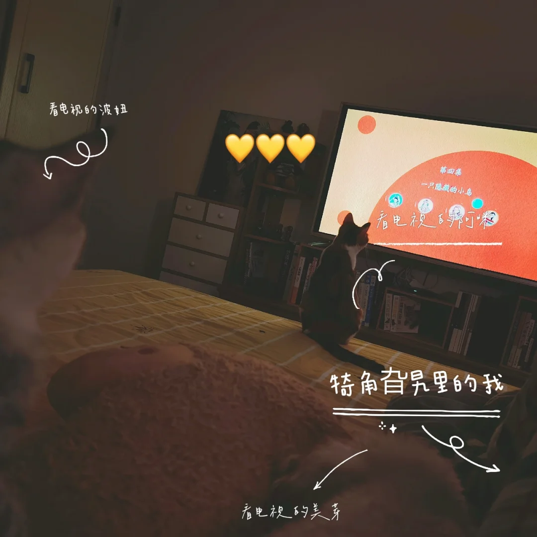 包含机枪泰迪，特意准备夺冠比赛：成就合作的乐趣的词条