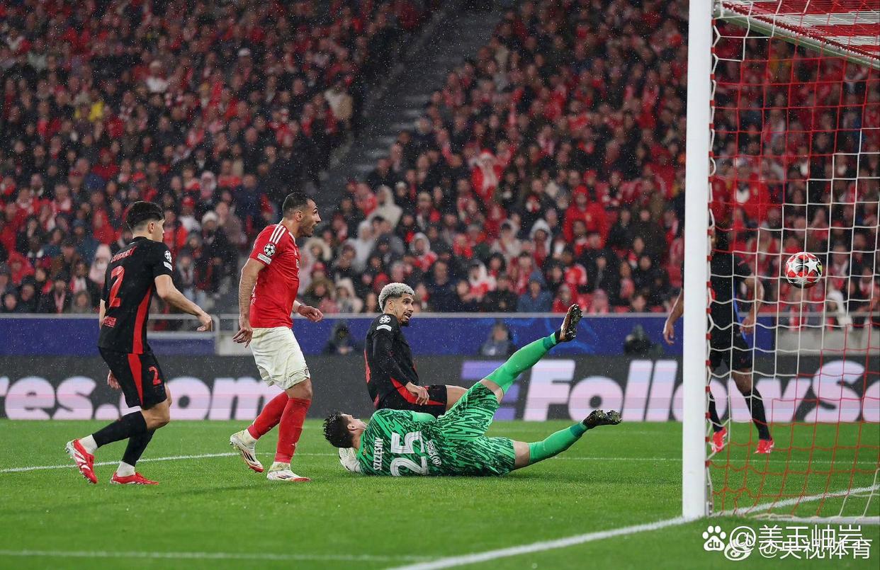 奥地利球员连续两场建功取胜 奥地利球员连续两场建功取胜