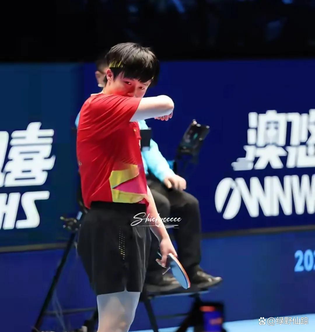 日本乒乓球队力克德国乒乓球队,王皓高光表现的简单介绍 日本乒乓球队力克德国乒乓球队,王皓高光表现的简单介绍