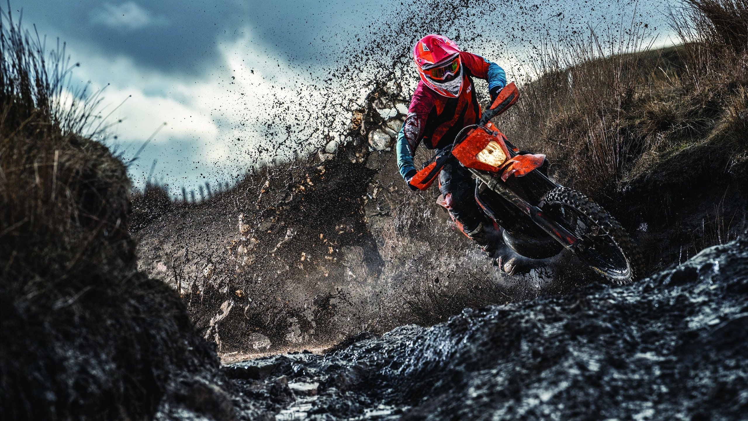 爱游戏娱乐-能量激荡的周末，赛道轰鸣与篮筐震颤的共舞