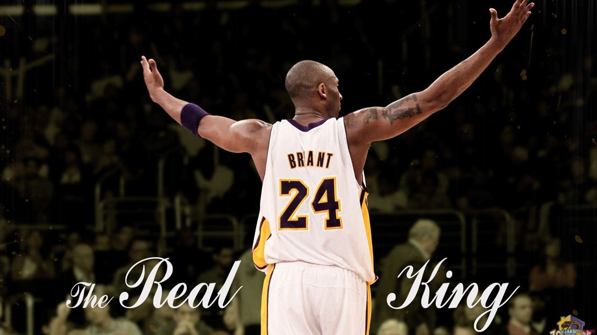 爱游戏tv-若日尼奥的美洲幻影,一场改写历史的虚构对决