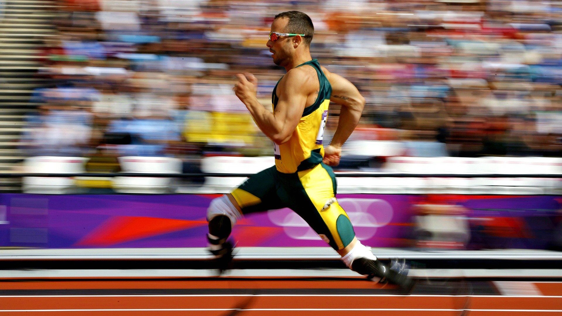 聚光灯下,当拜仁的精密机器,遇见伊布的熊熊野火